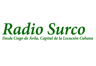 Radio Surco