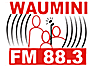 Radio Waumini (Nairobi)